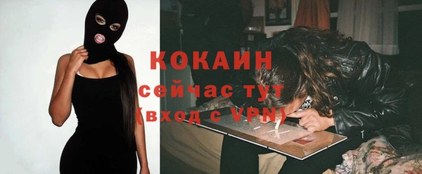 гидра Белоозёрский